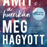 Azonnal elérhető Lucy Score: Amit a hurrikán meghagyott