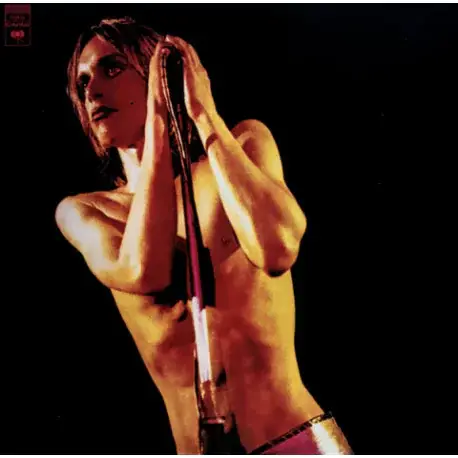 LP Iggy and the Stooges: Raw Power (Special Edition 2LP+16-page booklet) Olcsó