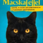 Macskafejjel Újdonság
