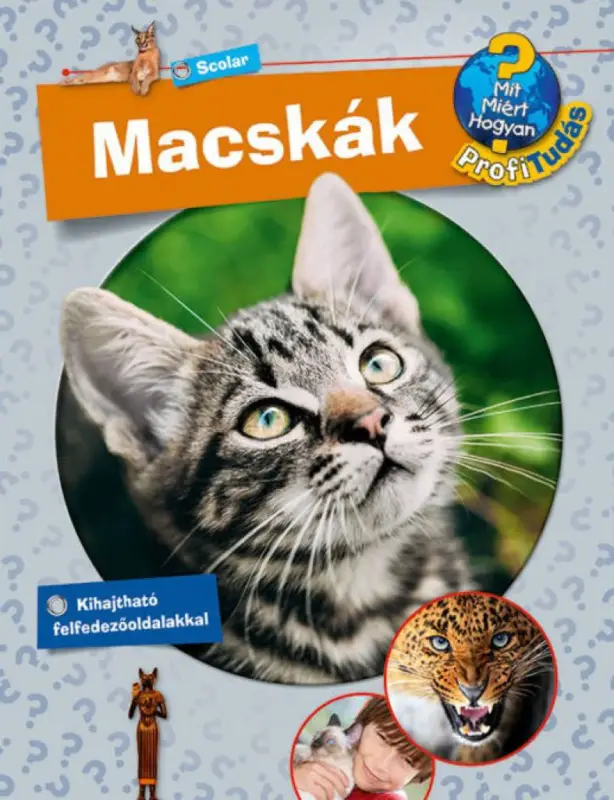 Ajánlat Macskák - Mit? Miért? Hogyan? Profi Tudás