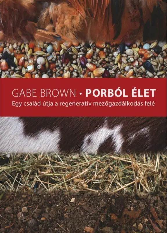 Porból élet Utolsó esély