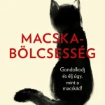 Macskabölcsesség Kihagyhatatlan ajánlat